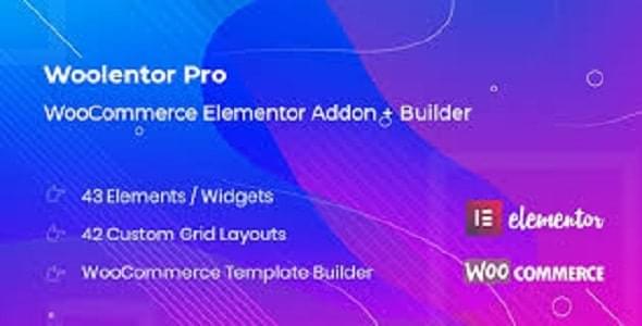 WooCommerce-Private-Store.jpg ShopLentor Pro (formally WooLentor) WooCommerce Elementor Addons + Builder GPL - Image 1